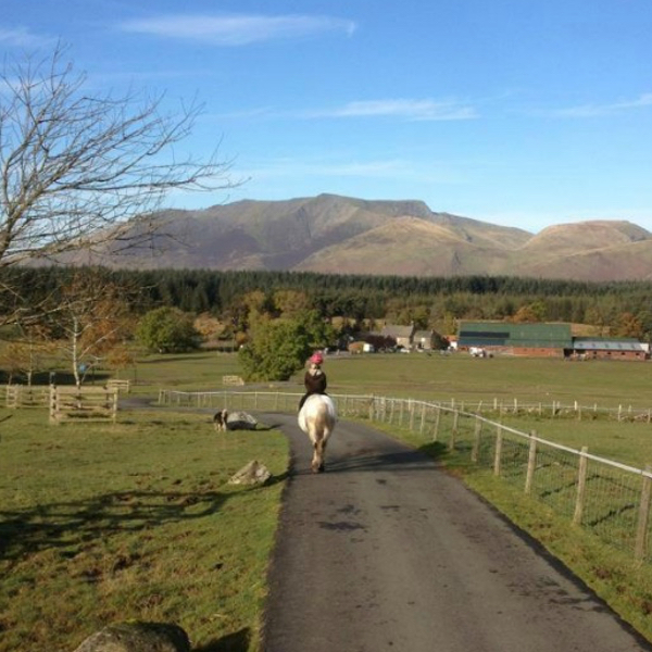 Horse%20Riding%205%20600