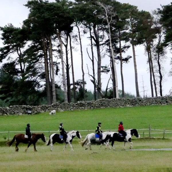 Horse%20Riding%206%20600